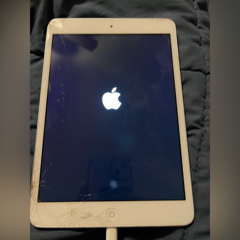 Ipad mini Ok condition